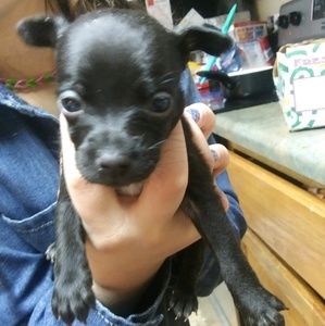 Meet your Posher, Linda